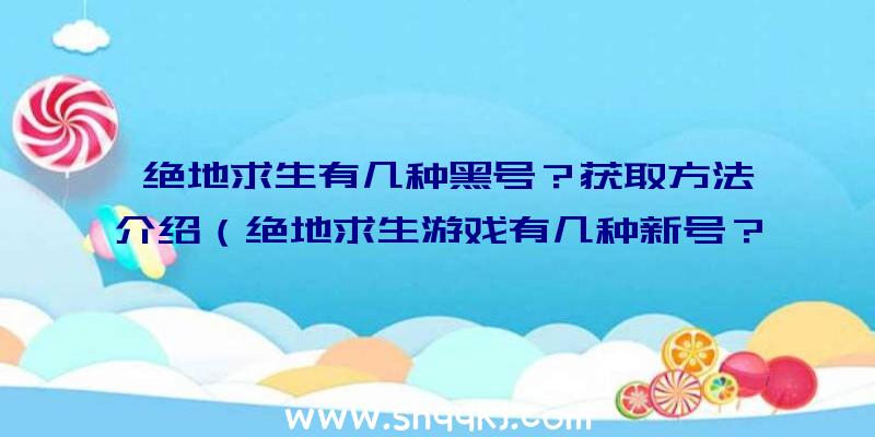 绝地求生有几种黑号？获取方法介绍（绝地求生游戏有几种新号？）